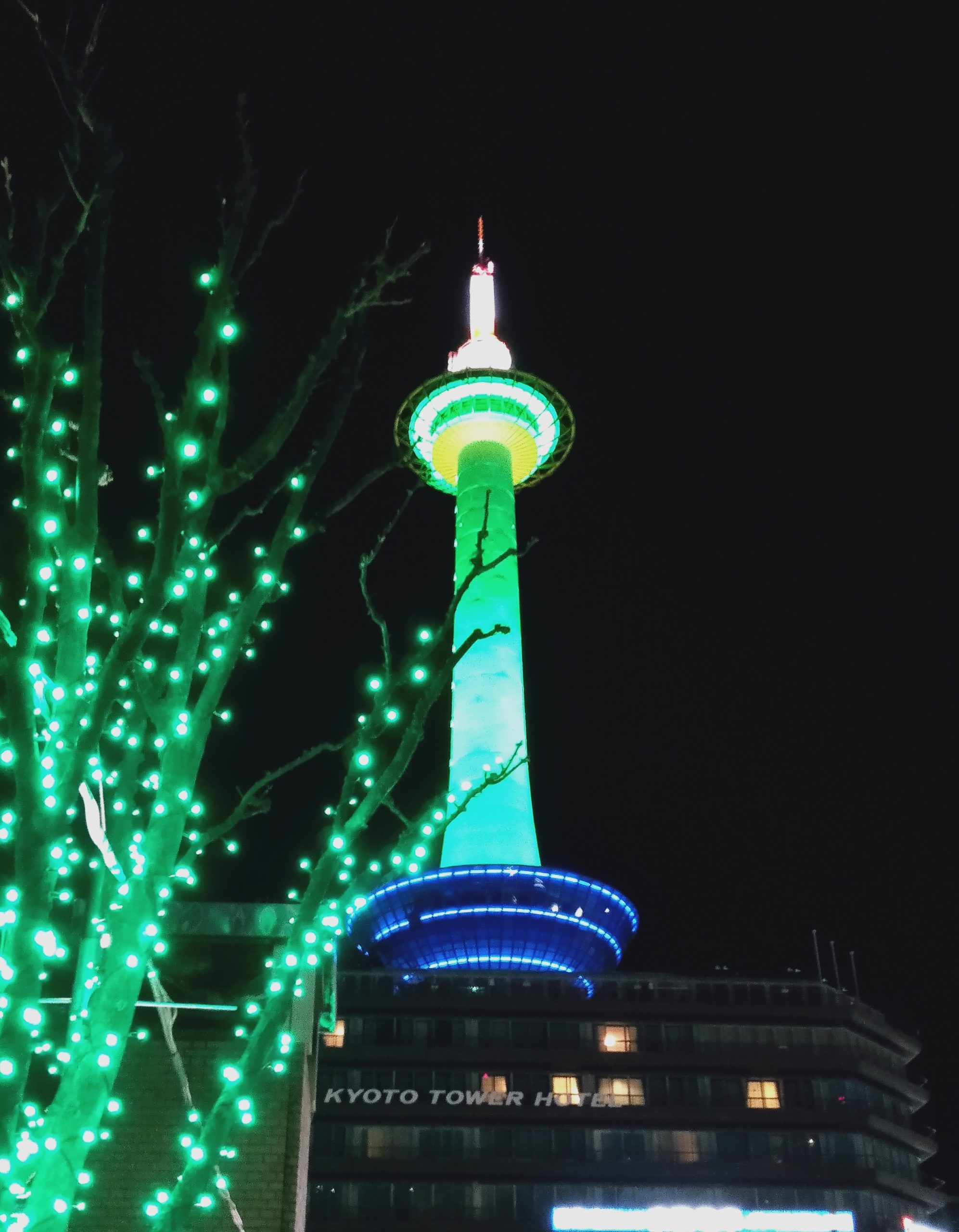 京都タワー🗼ライトアップ あかね屋 京焼・清水焼 〜 伝統工芸体験と京土産