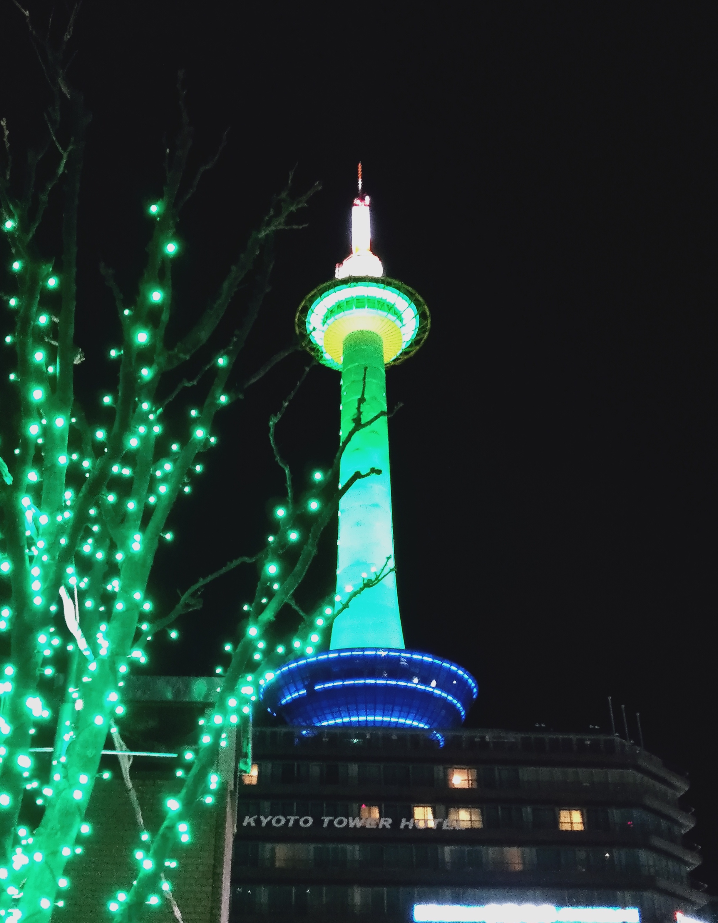 591D3F3B-0EA6-4CB0-A141-